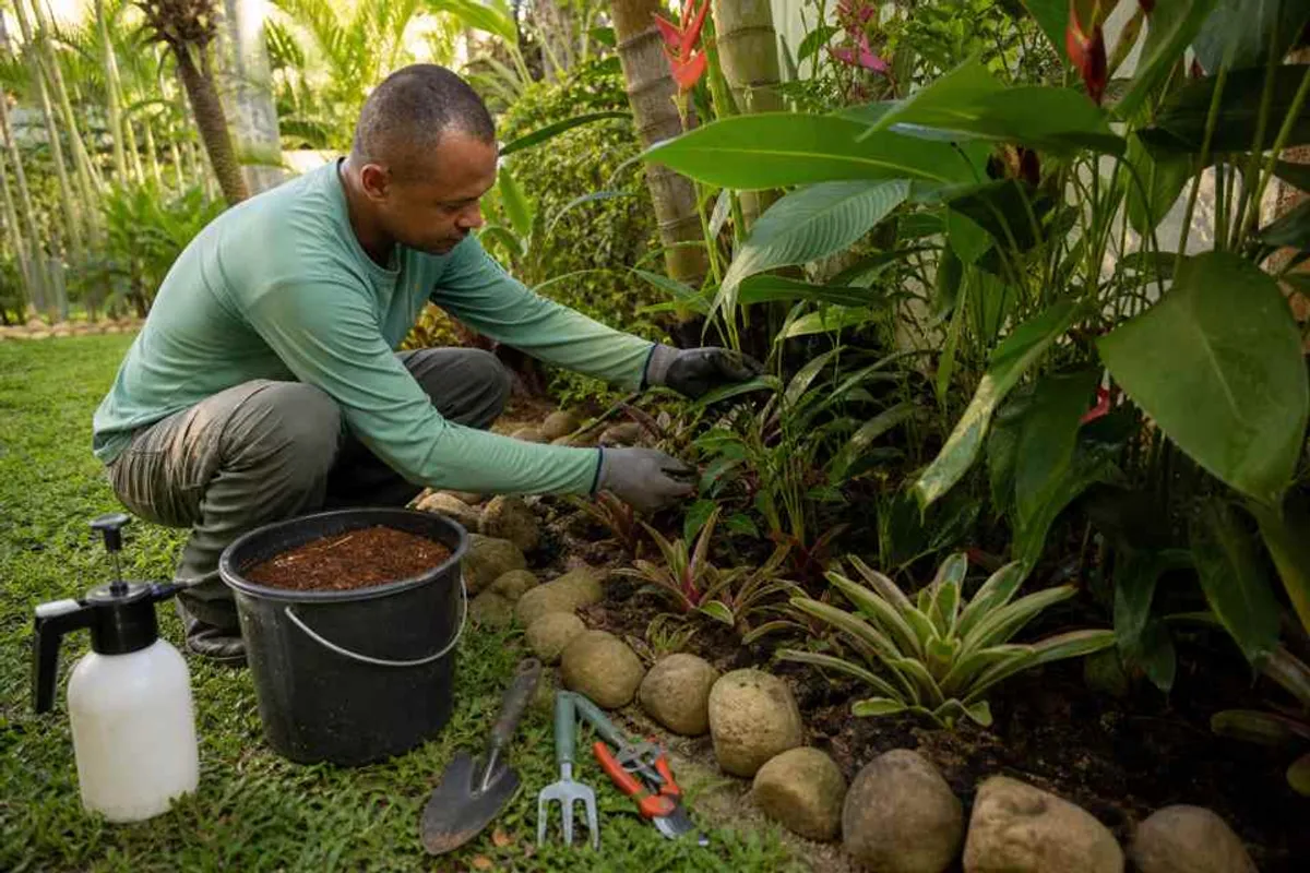 Jardineiro aplicando adubo e inspecionando pragas em jardim residencial no Rio Vermelho